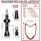 Válvulas para tubeless