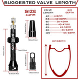 Válvulas para tubeless